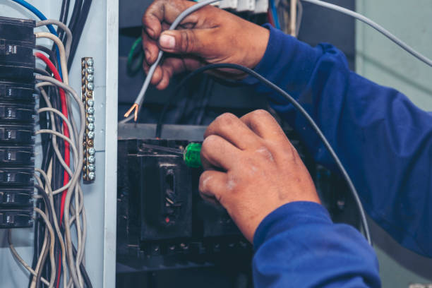Best Ceiling Fan Installation Electrician  in Guadalupe, CA